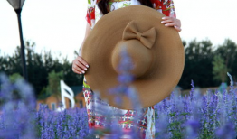 陶红主演的电视剧,情感纠葛与命运抉择