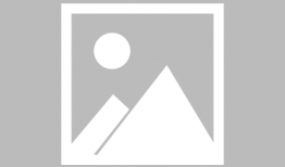 皮皮动漫,穿越次元，探寻动漫世界的奇幻之旅